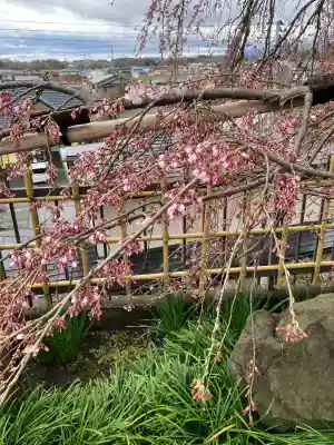 身照寺の{uncategorized: "未分類", other: "その他", undefined: "問題あり", building: "その他建物", grave: "お墓", sacred_gate: "鳥居", guardian: "狛犬", statue: "像", buddha: "仏像", history: "歴史", nature: "自然", garden: "庭園", animal: "動物", pagoda: "塔", temizu: "手水舎", mountain_gate: "山門・神門", sanctuary: "本殿・本堂", subordinate: "末社・摂社", art: "芸術", scenery: "景色", jizo: "地蔵", ema: "絵馬", goshuin: "御朱印", omikuji: "おみくじ", items: "授与品その他", amulet: "お守り", goshuincho: "御朱印帳", eats: "食事", festival: "お祭り", votive_dance: "神楽", shichigosan: "七五三参", wedding: "結婚式", experience: "体験その他", initially: "初詣", around: "周辺", anti_infection: "感染症対策"}
