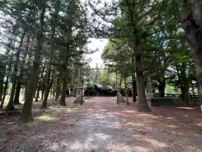 氷室五社神社の{uncategorized: "未分類", other: "その他", undefined: "問題あり", building: "その他建物", grave: "お墓", sacred_gate: "鳥居", guardian: "狛犬", statue: "像", buddha: "仏像", history: "歴史", nature: "自然", garden: "庭園", animal: "動物", pagoda: "塔", temizu: "手水舎", mountain_gate: "山門・神門", sanctuary: "本殿・本堂", subordinate: "末社・摂社", art: "芸術", scenery: "景色", jizo: "地蔵", ema: "絵馬", goshuin: "御朱印", omikuji: "おみくじ", items: "授与品その他", amulet: "お守り", goshuincho: "御朱印帳", eats: "食事", festival: "お祭り", votive_dance: "神楽", shichigosan: "七五三参", wedding: "結婚式", experience: "体験その他", initially: "初詣", around: "周辺", anti_infection: "感染症対策"}