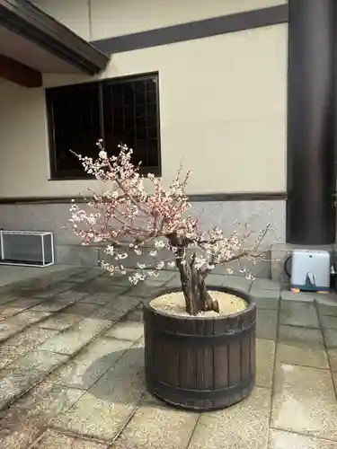 岩津天満宮(愛知県)