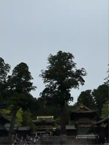 日光東照宮(栃木県)