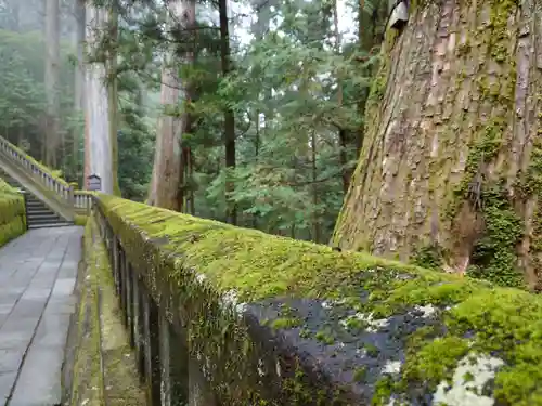 日光東照宮(栃木県)