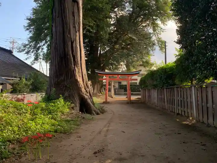 八幡大神(千葉県)
