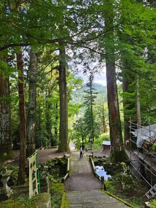 金櫻神社(山梨県)