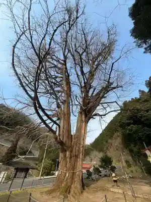 迦具神社の{uncategorized: "未分類", other: "その他", undefined: "問題あり", building: "その他建物", grave: "お墓", sacred_gate: "鳥居", guardian: "狛犬", statue: "像", buddha: "仏像", history: "歴史", nature: "自然", garden: "庭園", animal: "動物", pagoda: "塔", temizu: "手水舎", mountain_gate: "山門・神門", sanctuary: "本殿・本堂", subordinate: "末社・摂社", art: "芸術", scenery: "景色", jizo: "地蔵", ema: "絵馬", goshuin: "御朱印", omikuji: "おみくじ", items: "授与品その他", amulet: "お守り", goshuincho: "御朱印帳", eats: "食事", festival: "お祭り", votive_dance: "神楽", shichigosan: "七五三参", wedding: "結婚式", experience: "体験その他", initially: "初詣", around: "周辺", anti_infection: "感染症対策"}