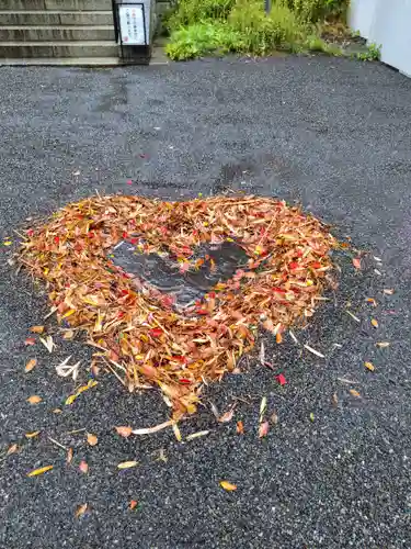來宮神社(静岡県)