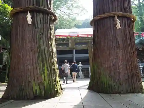 八幡朝見神社の自然