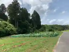 箭神神社の周辺