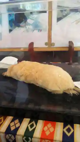 下野 星宮神社の動物