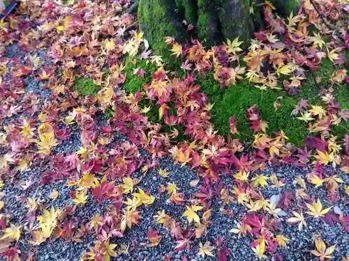 足羽神社(福井県)