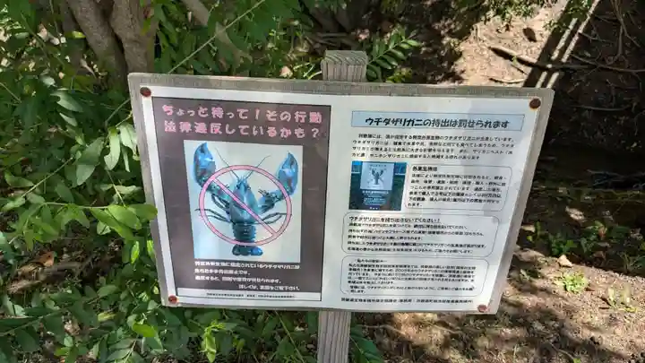 浮見堂の動物