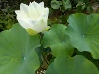 龍潭寺(静岡県)