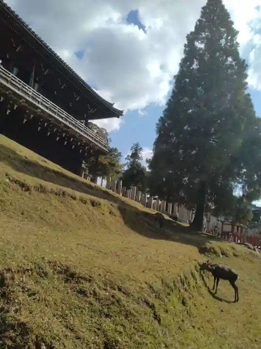 東大寺 二月堂(奈良県)