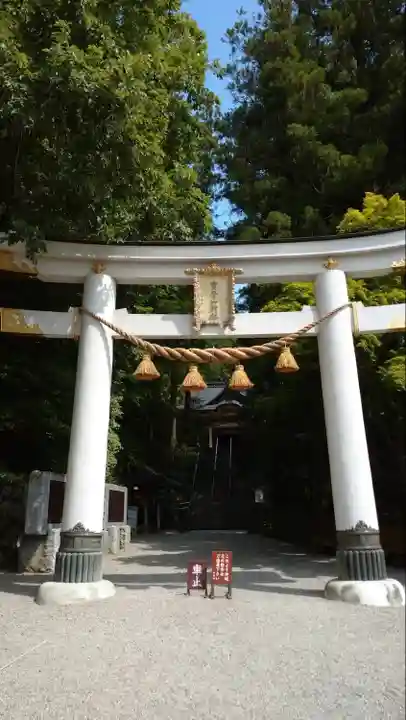 宝登山神社(埼玉県)