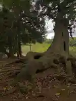 巖島大神(千葉県)