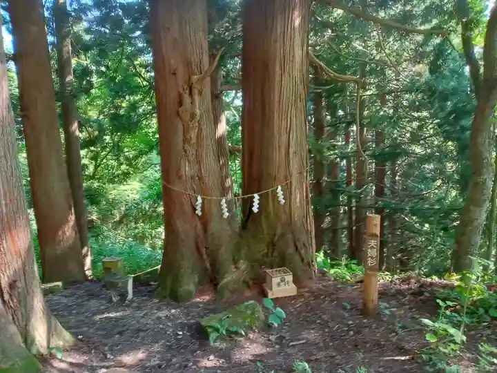 大山祇神社(福島県)