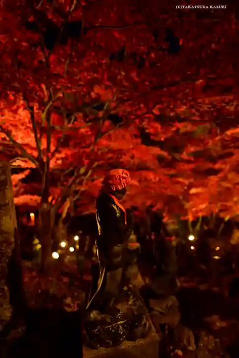 大山寺(神奈川県)