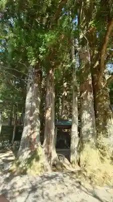 水無神社(長野県)