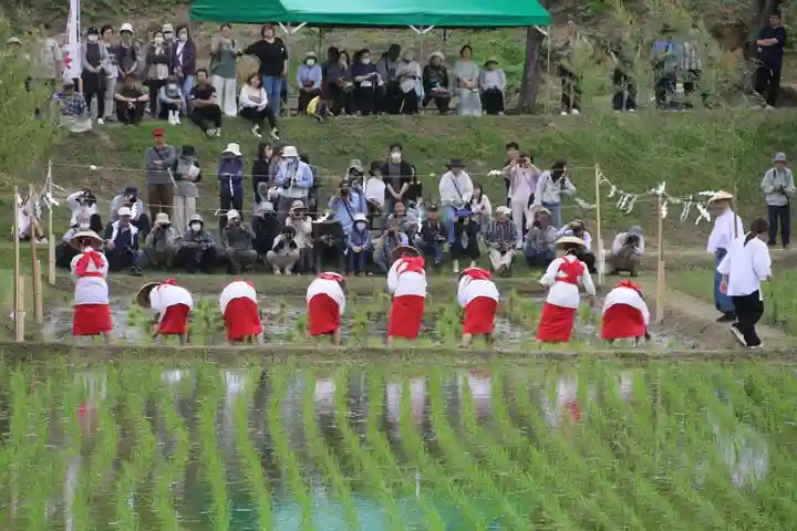 高屋敷稲荷神社のお祭り
