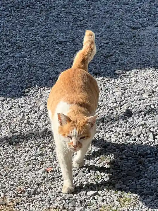 佐野赤城神社(栃木県)