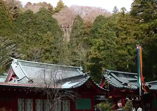 箱根神社(神奈川県)