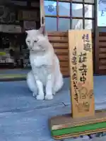 宗龍寺(愛知県)