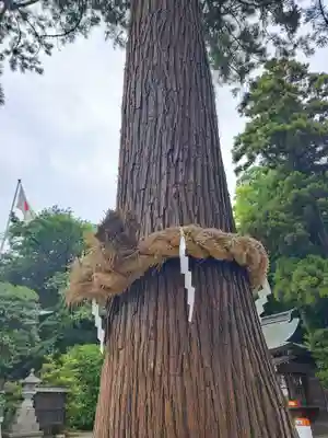 比々多神社(神奈川県)