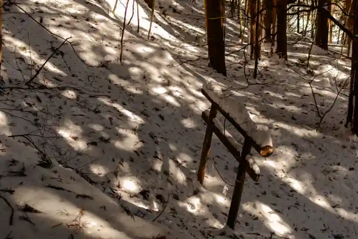 戸隠神社宝光社(長野県)