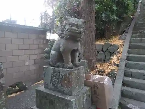 愛宕神社の狛犬