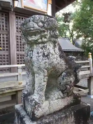 闘鶏神社の狛犬