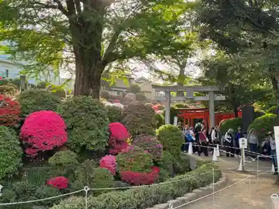 根津神社(東京都)