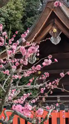 久我神社（賀茂別雷神社摂社）(京都府)