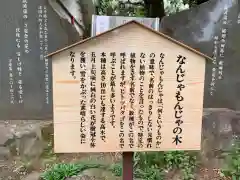 大宝八幡宮の歴史