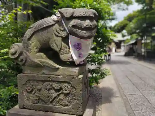 菊田神社の狛犬