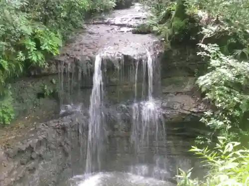 稱名寺（称名寺）の自然