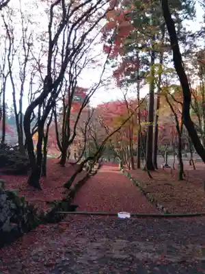 鶏足寺(滋賀県)