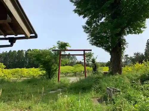 熊野権現の鳥居