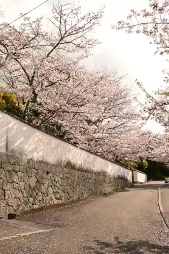 常信寺(愛媛県)