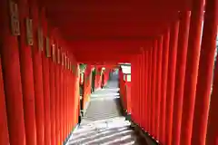 太皷谷稲成神社の鳥居