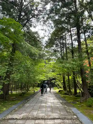 竹林寺の景色