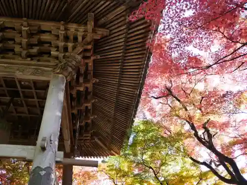 修禅寺の建物その他