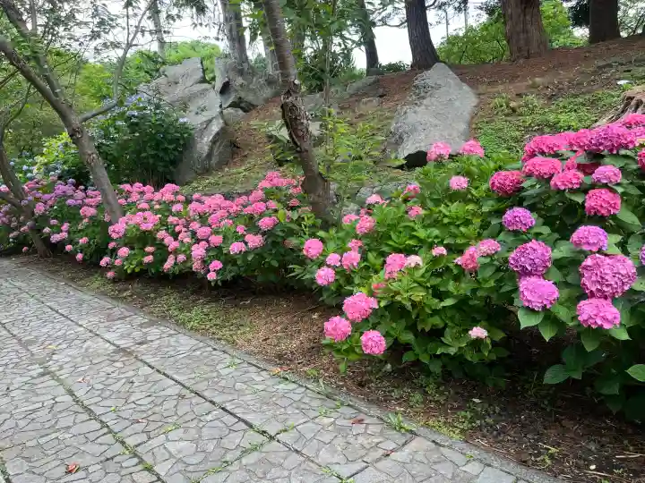 有珠善光寺(北海道)