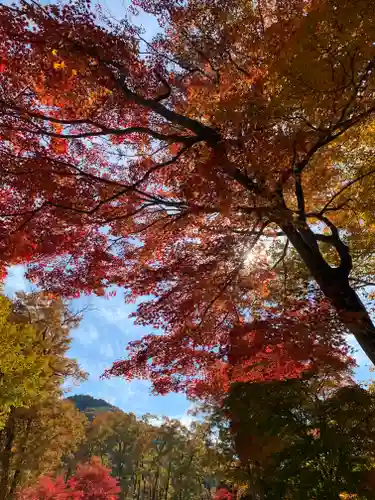 塔のへつりの自然
