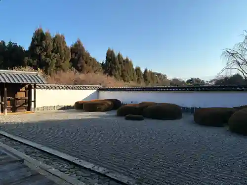 正伝護国禅寺(正伝寺･正傳寺)の{uncategorized: "未分類", other: "その他", undefined: "問題あり", building: "その他建物", grave: "お墓", sacred_gate: "鳥居", guardian: "狛犬", statue: "像", buddha: "仏像", history: "歴史", nature: "自然", garden: "庭園", animal: "動物", pagoda: "塔", temizu: "手水舎", mountain_gate: "山門・神門", sanctuary: "本殿・本堂", subordinate: "末社・摂社", art: "芸術", scenery: "景色", jizo: "地蔵", ema: "絵馬", goshuin: "御朱印", omikuji: "おみくじ", items: "授与品その他", amulet: "お守り", goshuincho: "御朱印帳", eats: "食事", festival: "お祭り", votive_dance: "神楽", shichigosan: "七五三参", wedding: "結婚式", experience: "体験その他", initially: "初詣", around: "周辺", anti_infection: "感染症対策"}