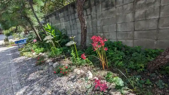 乾窓院(京都府)