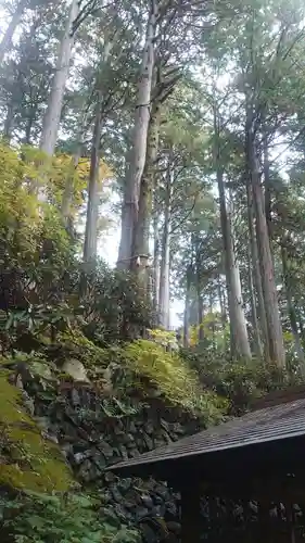 三峯神社(埼玉県)