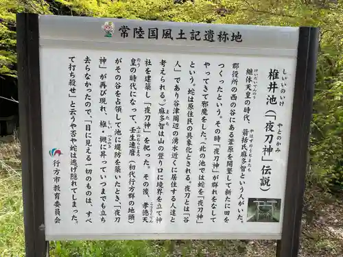 夜刀神社(愛宕神社境内社)の歴史