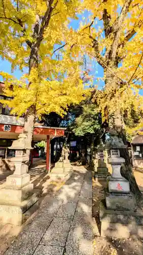 今井神社の自然