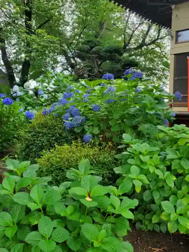 退魔寺(厄除茂呂不動尊)の自然