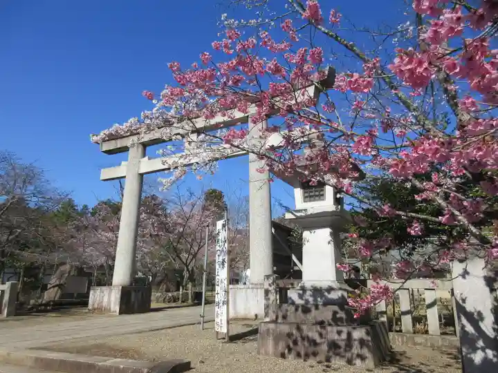 茨城縣護國神社の鳥居