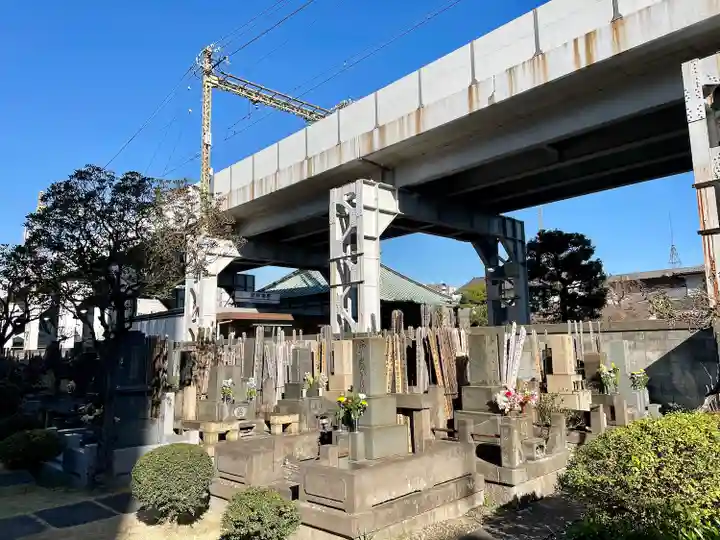 妙蓮寺(東京都)